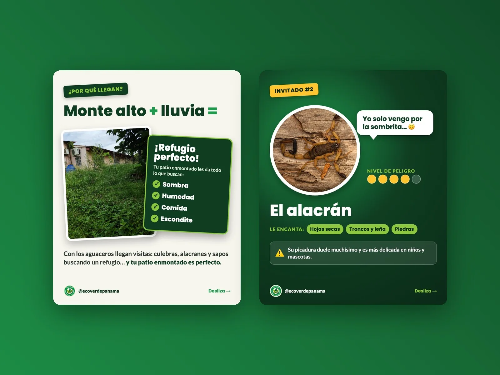 Carruseles educativos de EcoVerde en Instagram